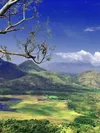 product sub page