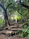 product sub page