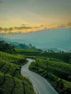 product sub page