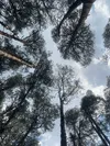 product sub page