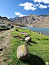 product sub page