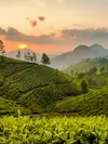 product sub page